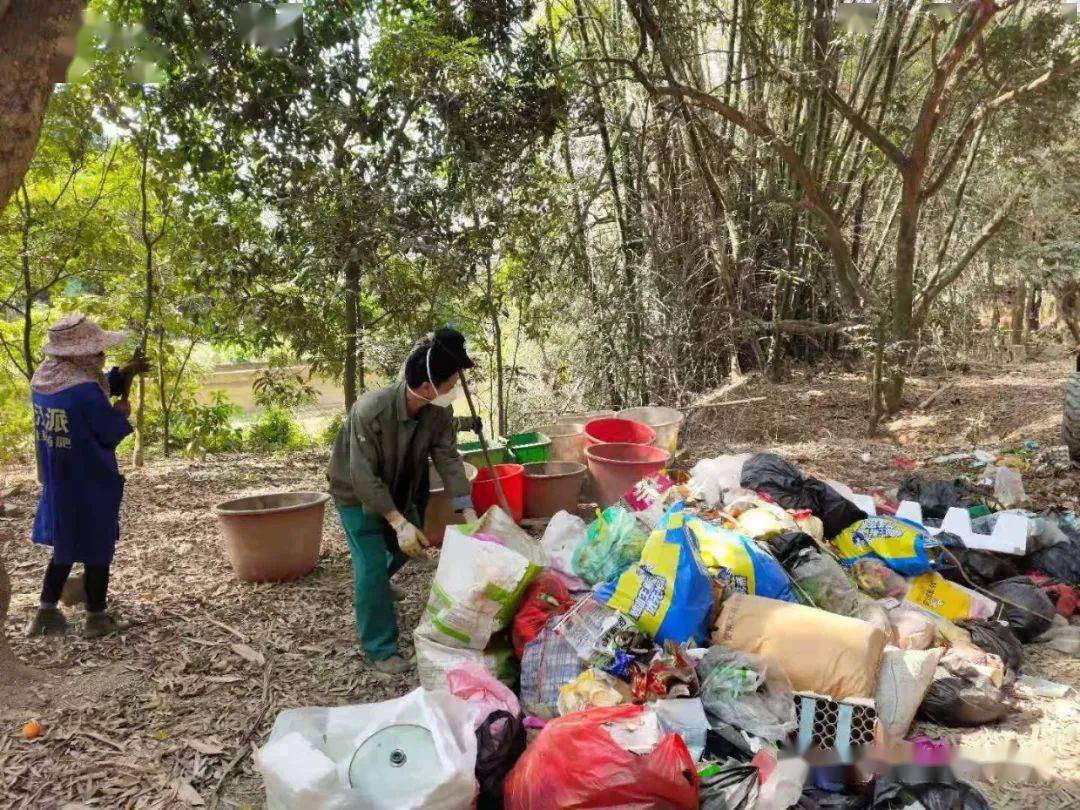 我为群众办实事鸣凤村建好垃圾中转站打造乡村环境整治样板村