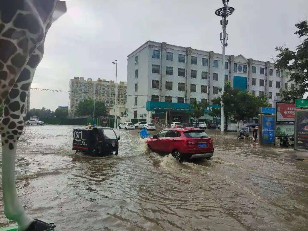 濮阳突降暴雨城区多条道路积水未来几天天气