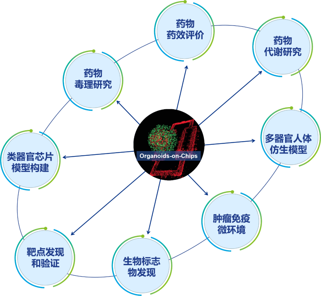 他汀类药物包括_他汀类的药有哪些药_他汀类药物有哪些