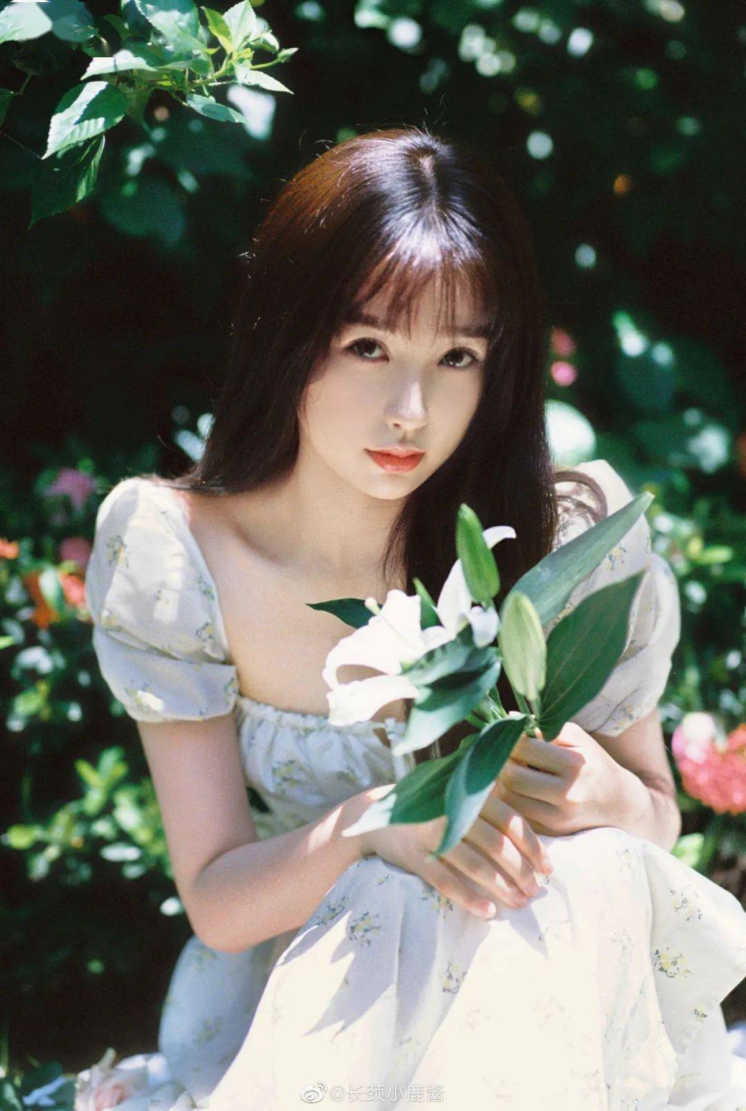 花花裙子 明艳艳的胶片感真的是盛夏植物系拍照范本了夏日 宜阳光 宜