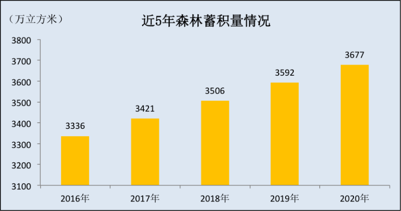 巴西森林蓄积量图片