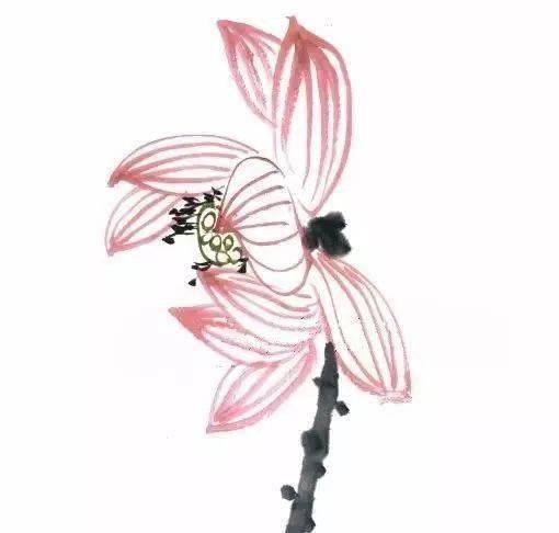 【国画教程】写意荷花入门训练