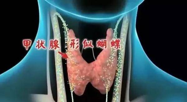 太子参|当心！3种舌象，可能提示甲状腺疾病！