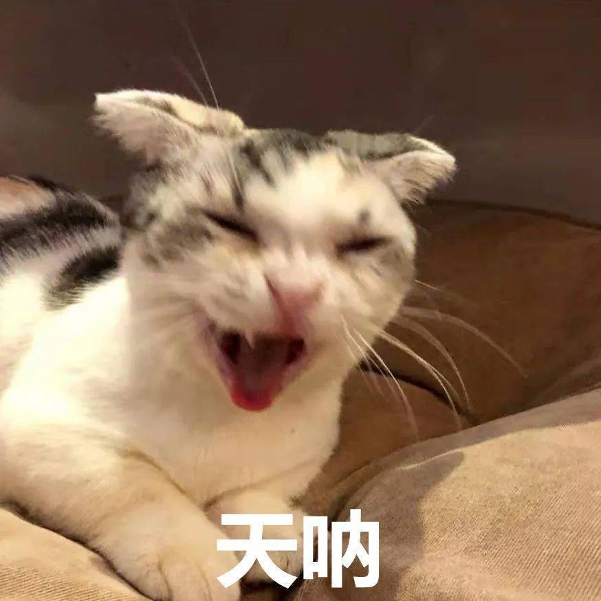 泪液|暑假过半，医生紧急提醒：别放任孩子干这事了！