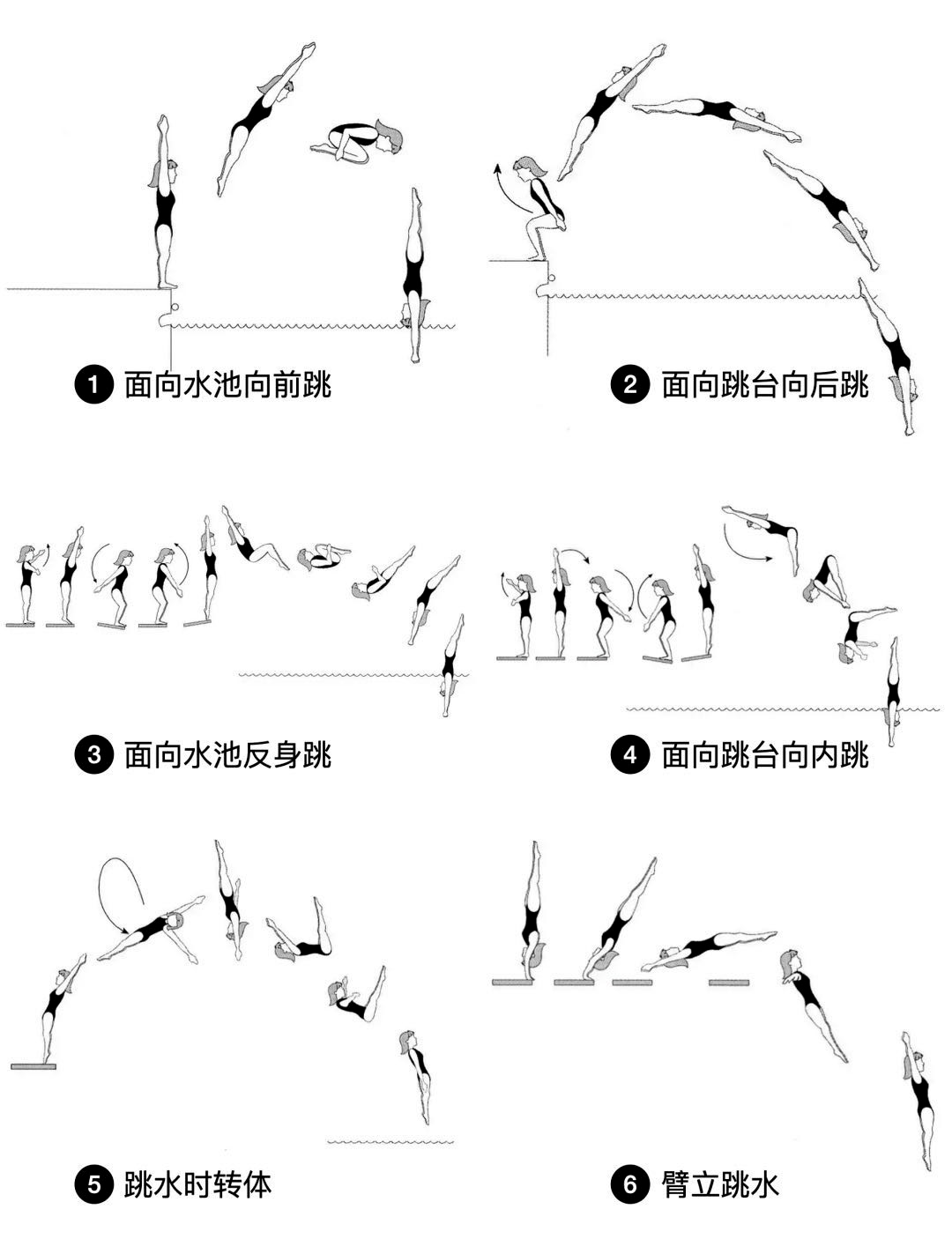 跳跃运动规律分解图图片