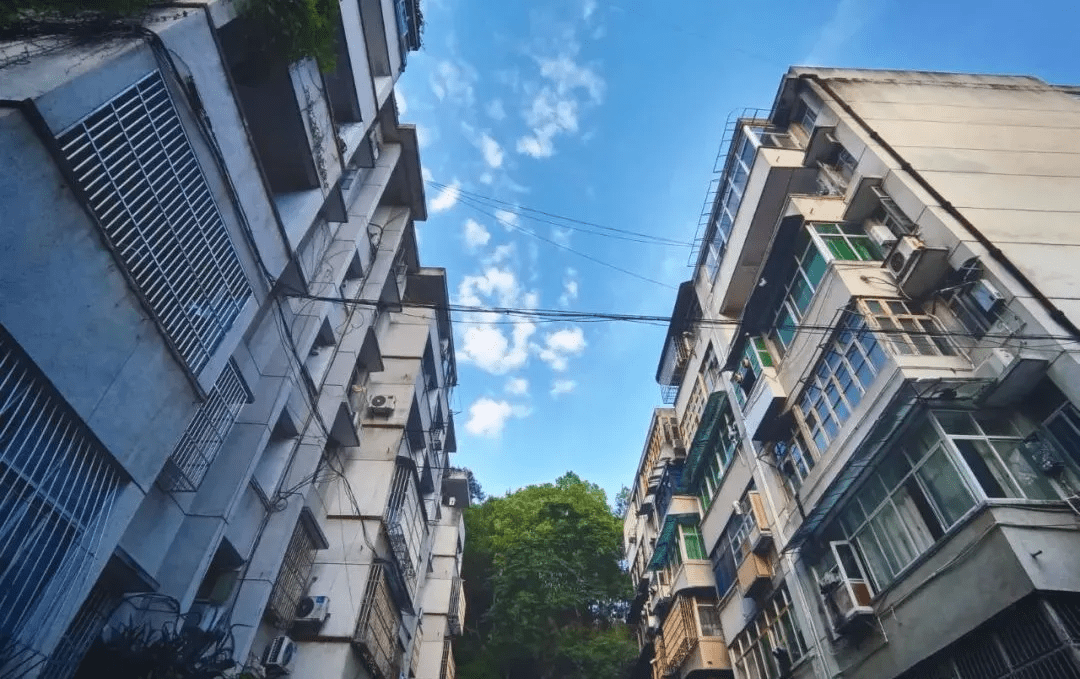 今天起，全面看空学区房_政策