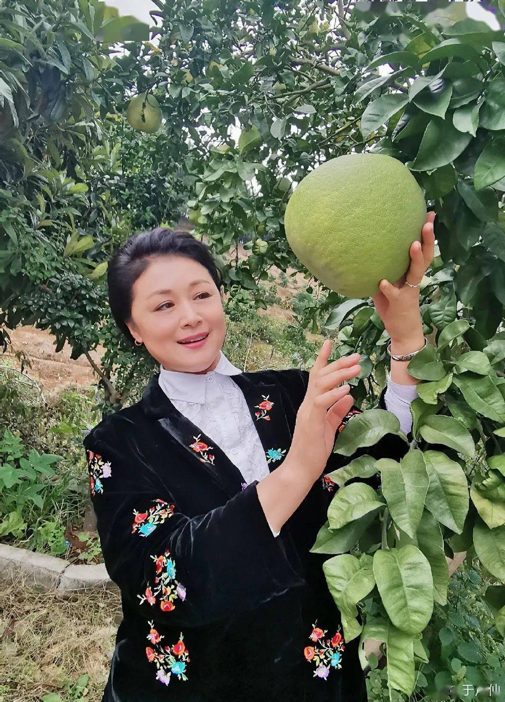 凌晨噩耗!车辆与骆驼发生碰撞 ,"乡村爱情没有谢大脚了"