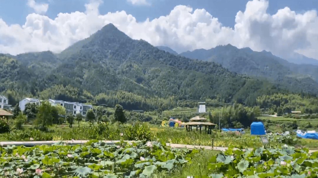 看三明 | 乡村振兴示范线沿线乡镇系列直播第三期走进建宁濉溪镇_旅游