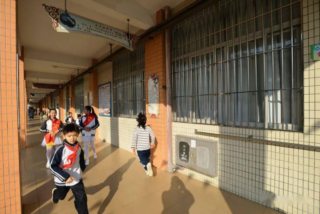 【喜讯】均安镇南沙小学获评广东省"绿色学校"