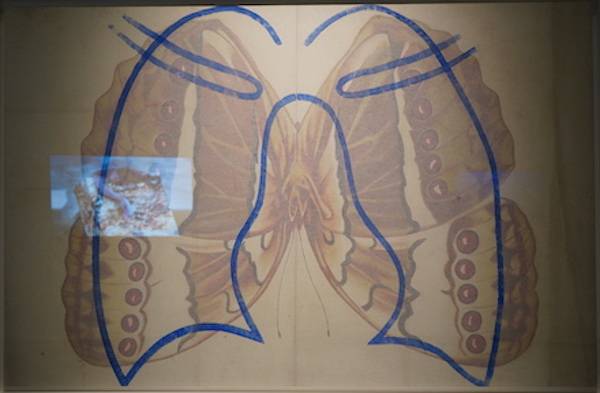 展览|“绵延·变动中的中国艺术”，呈现当代艺术界现实思考