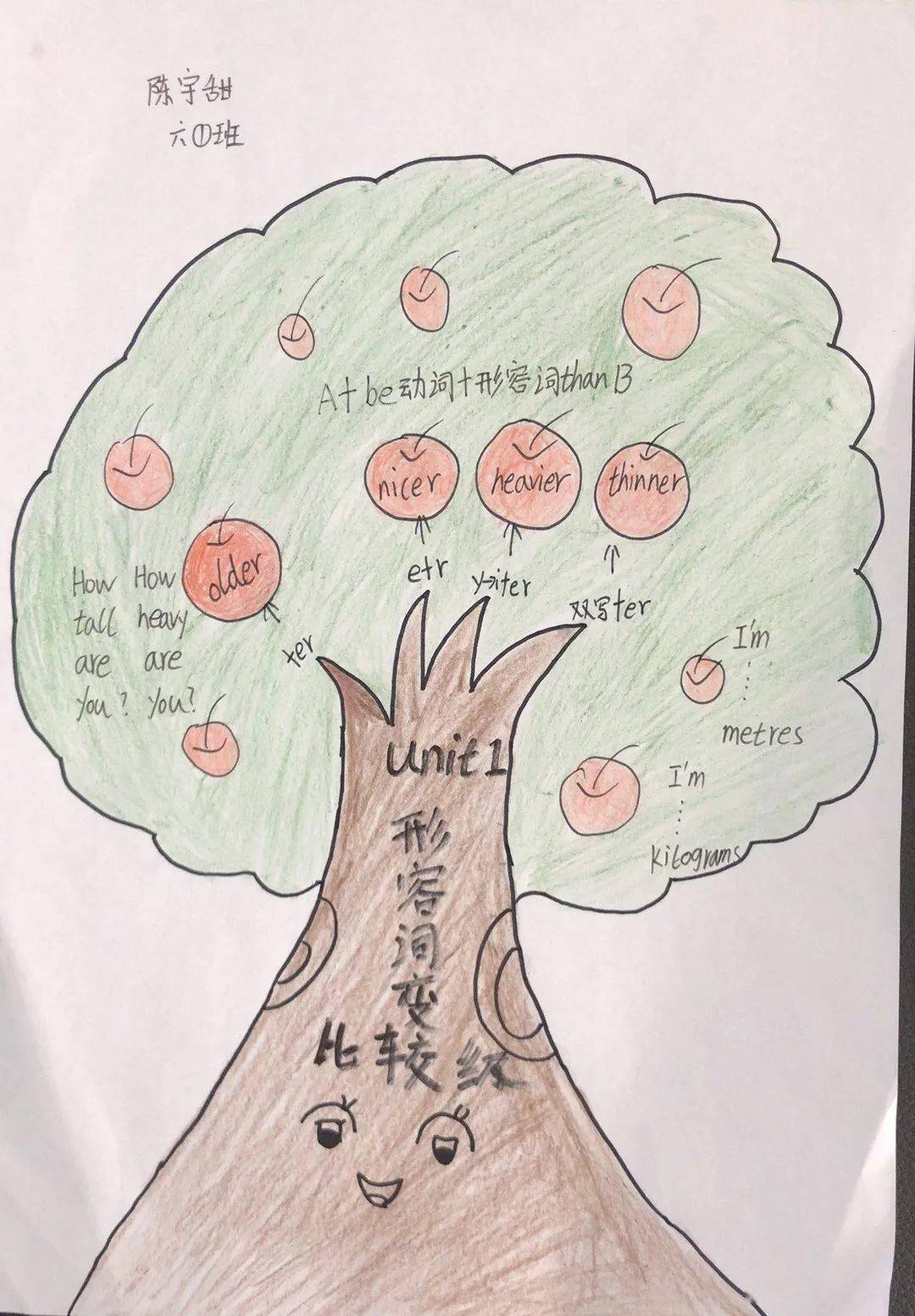 用思維導圖進行英語寫作訓練這些學生的作品讓人大開眼界