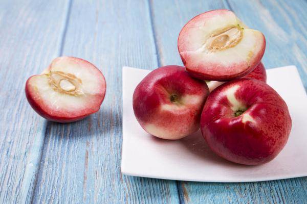 吉祥|立秋后这5种“福果”记得要多吃，吃出营养美味，咬出健康好福气