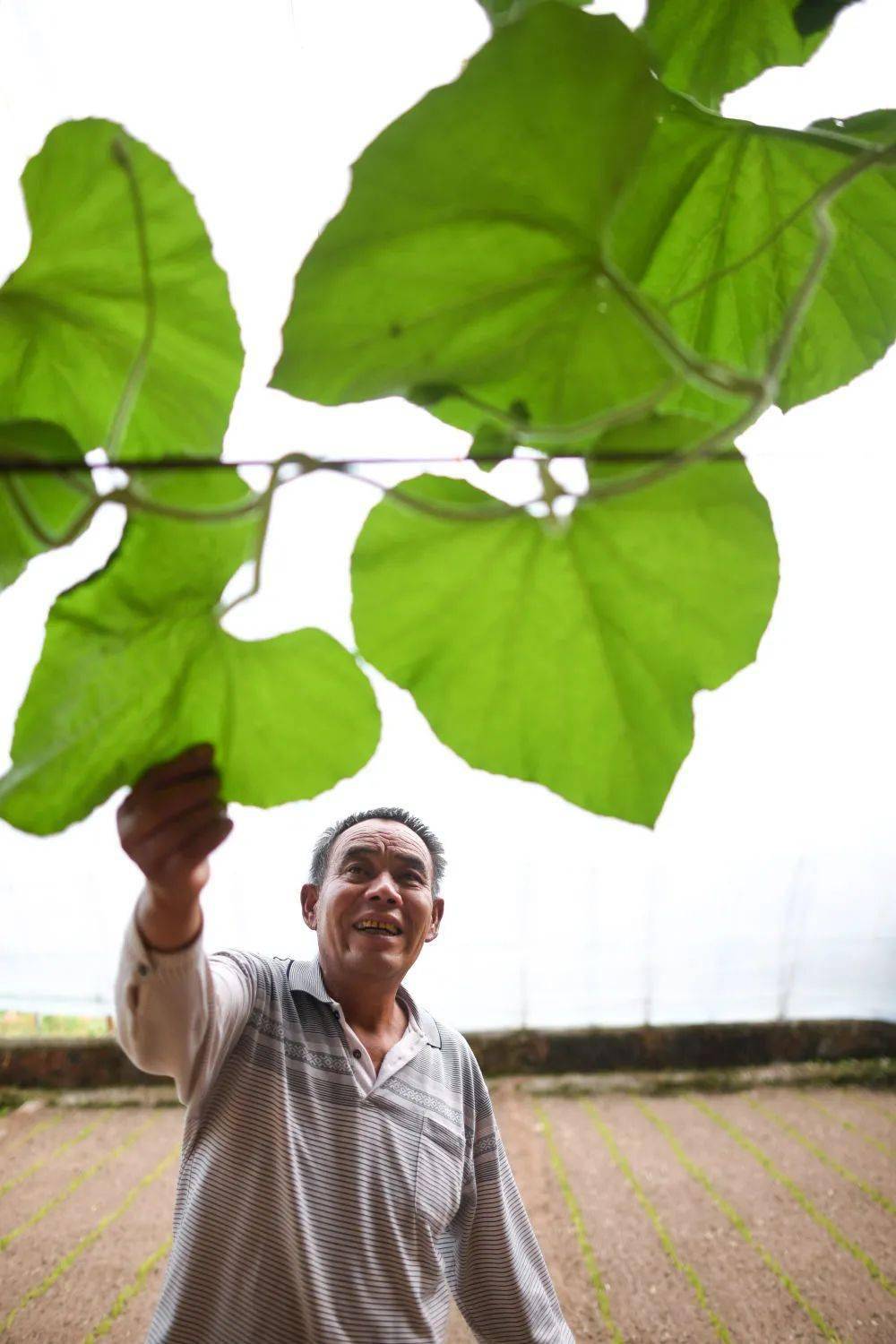 【幸福玉树】魏金明:我在玉树32年种出"江南绿"