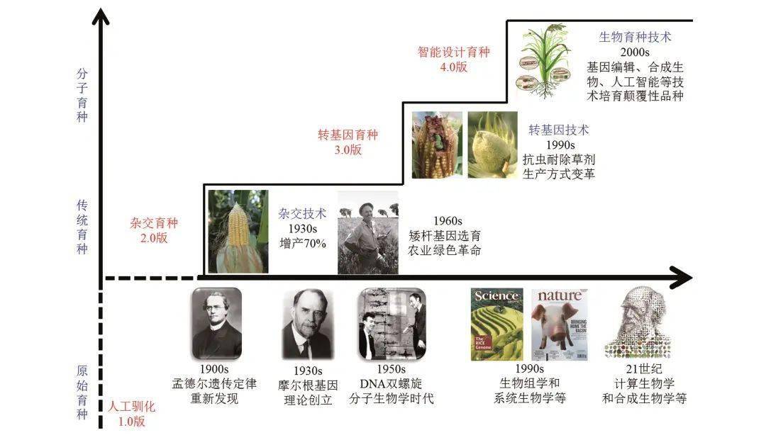 特邀林敏农业生物育种技术的发展历程及产业化对策