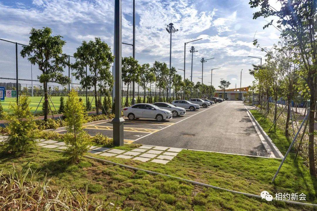 健身活动区,体育运动区,公共服务区,树阵广场区,地面停车区,城市活力