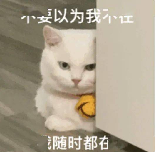 92228c1ab1e140568090ff3813928bc1.jpeg