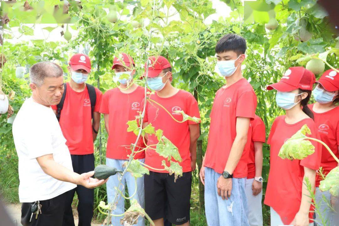 濉溪县谷物种植：现代农业的希望与挑战