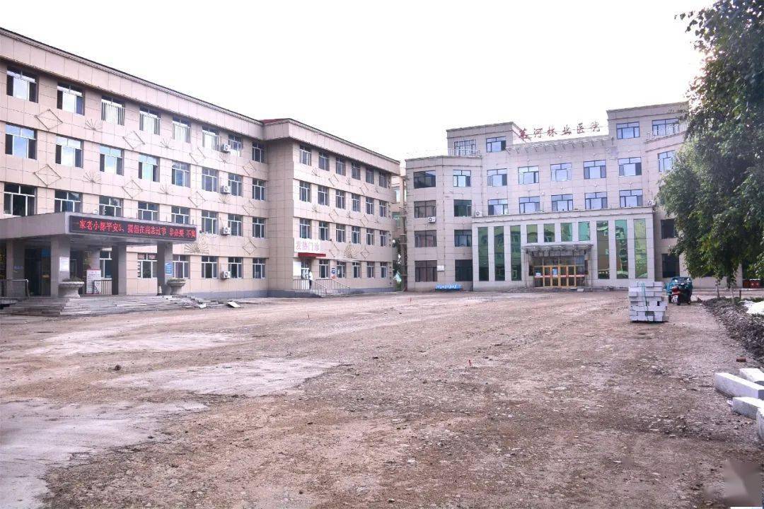 【幸福苇林】苇河林业局有限公司改造升级医疗服务环境_工作