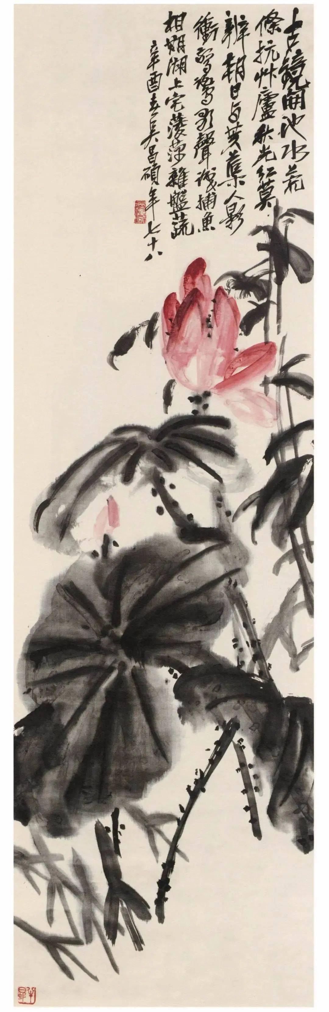 吴昌硕画荷花作品大全图片