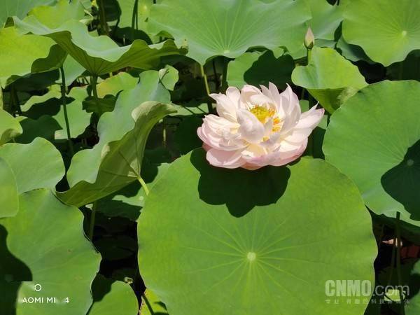 屏幕|小米MIX 4评测：把未来 “藏”起来