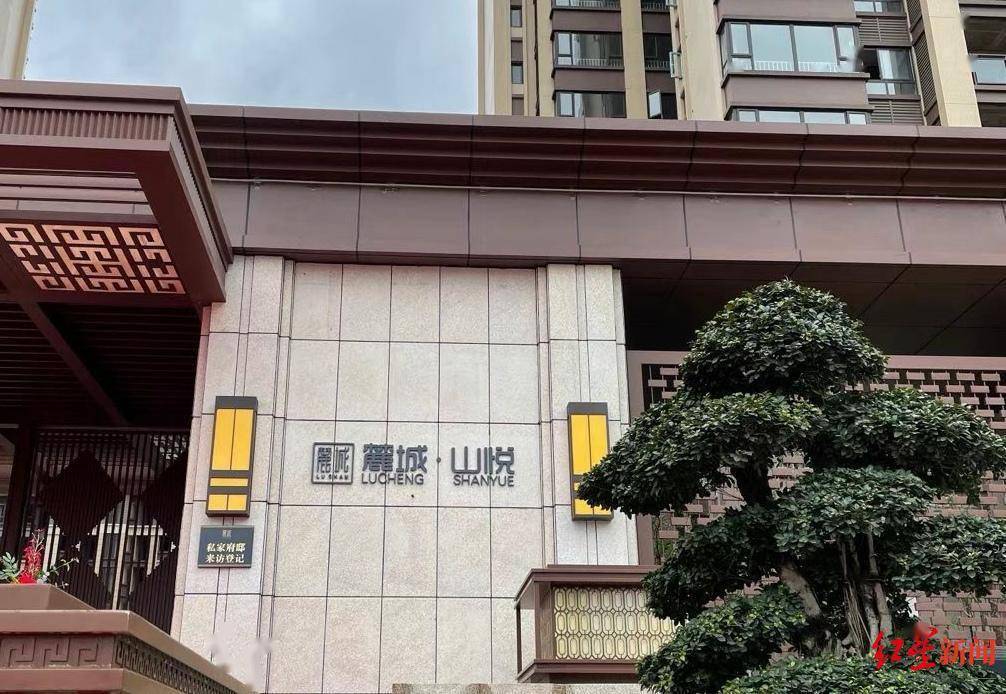 冲着这个片区未来发展的潜力,市民罗女士于2019年购买了麓城小区一套