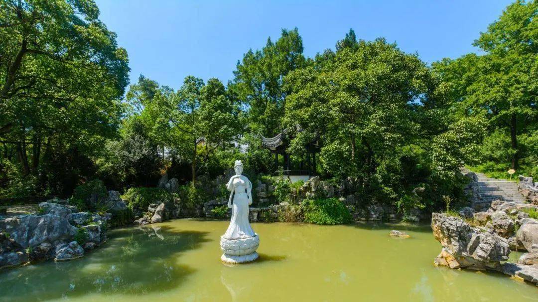 锦绣中华 | "荣耀夫妇"高糖原产地——宜兴_蜀山