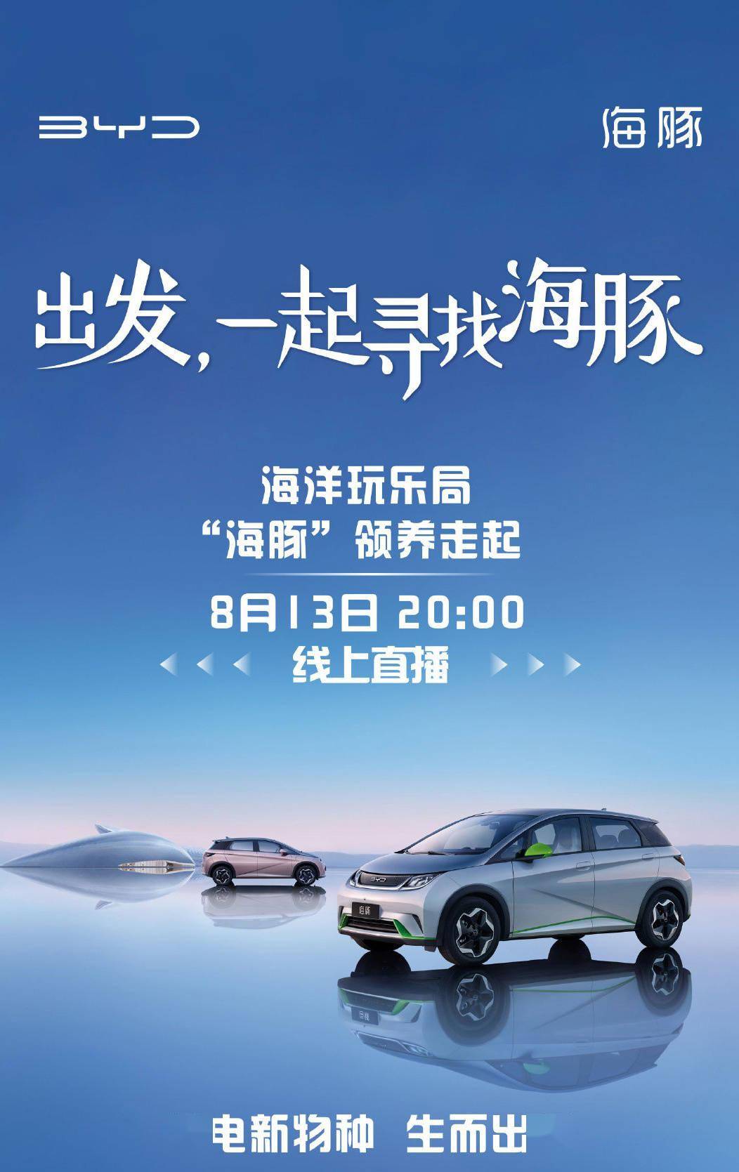 比亚迪纯电新车"海豚"将于今晚直播时预售,新配色曝光