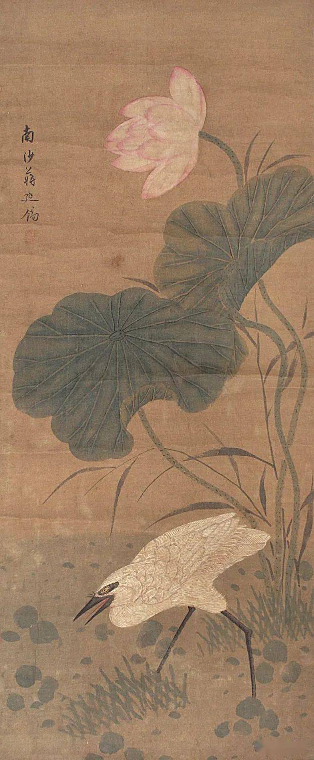 名品视界清代画家蒋廷锡的花鸟画欣赏一