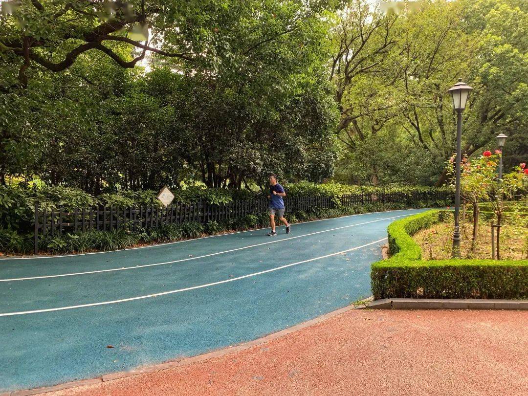 中山公园新建成一条“蓝色步道”，走上去美滋滋~