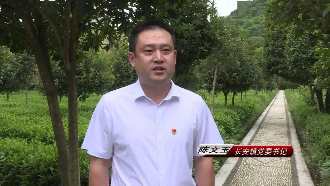 贯彻市委全会精神平利全县在行动二勇毅面对事不避难日拱一卒各个击破