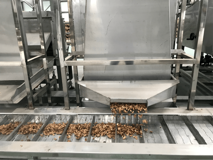 奋斗百年路启航新征程核桃油深加工企业入驻02托起种植户的致富梦