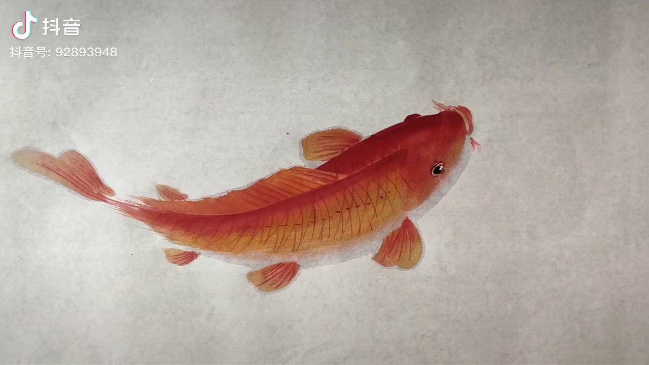 清晰的步骤运笔方式三笔两笔拿起笔墨巧画国画红鲤鱼