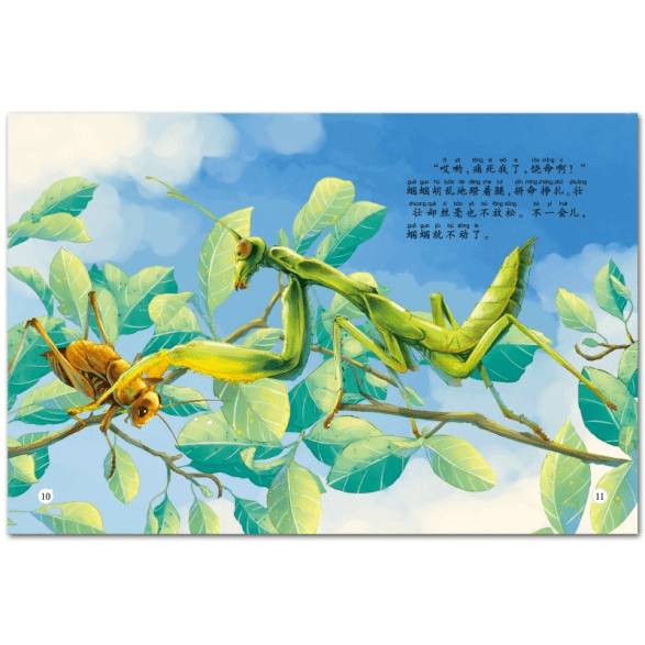 纯美科普绘本惊喜上市, 孩子探索大自然,有这一套就够了!