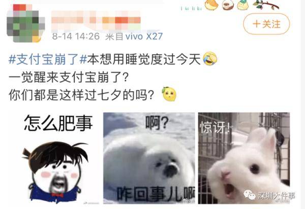 网友|突然崩了！紧急回应