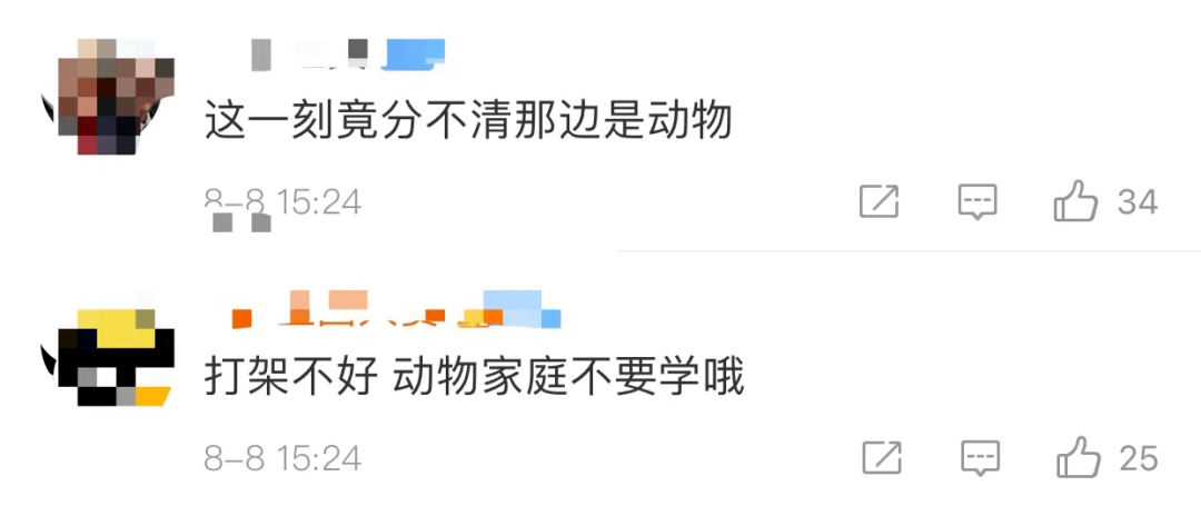随心所欲的简谱_罗琦随心所欲简谱(3)