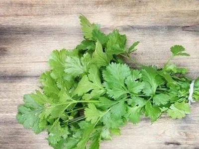 啥时候种香菜好 684d175eee83436f94815165a24ba9f1.jpeg