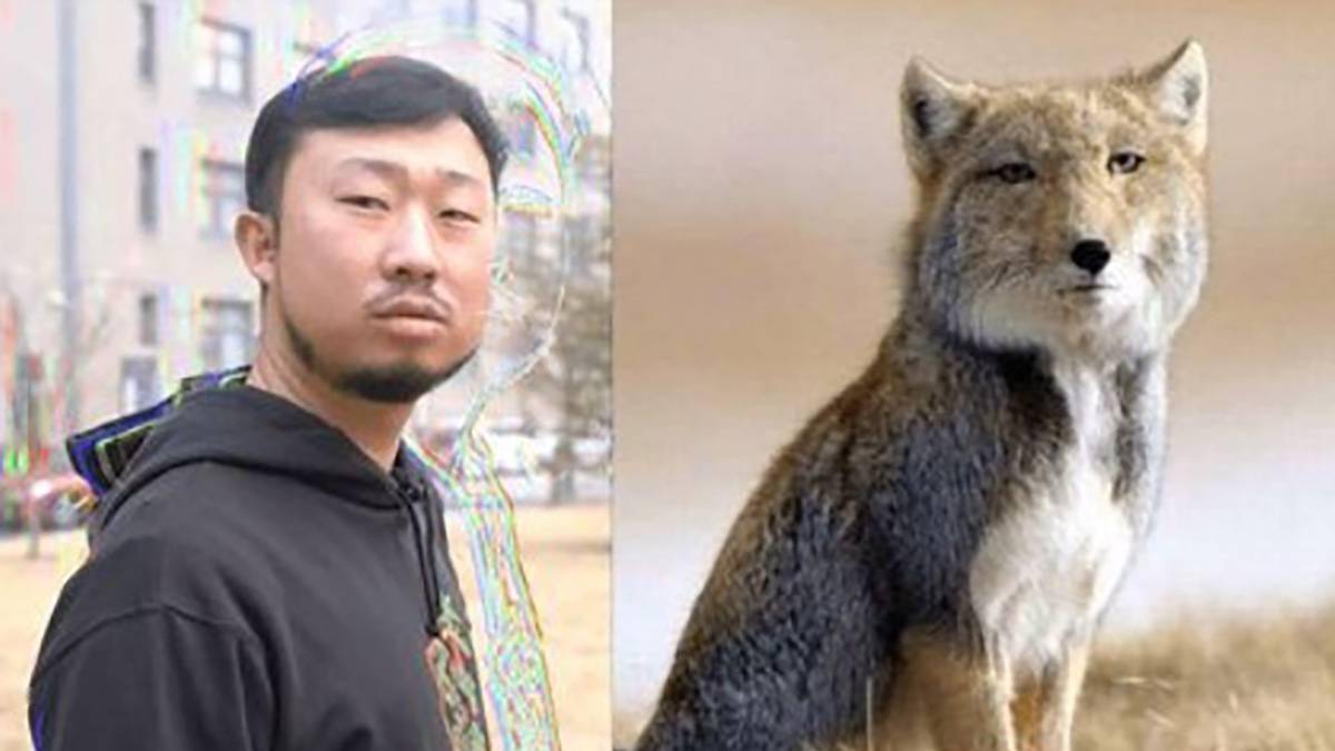 科普大 v 和明星一样红了,他们重塑了知识的魅力_张辰亮