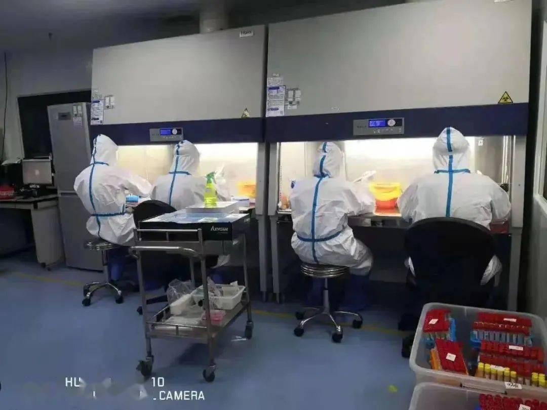进行|【防疫知识】别再催核酸报告了，看完这篇文章就明白了！