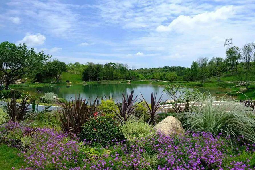 成都这里公园 1,名字有点儿酷!_景观