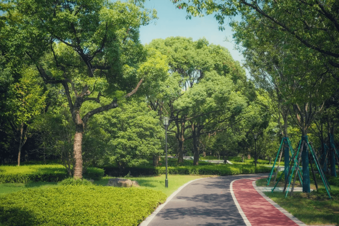 夏末初秋,浦东的公园有多美?来看小布美图