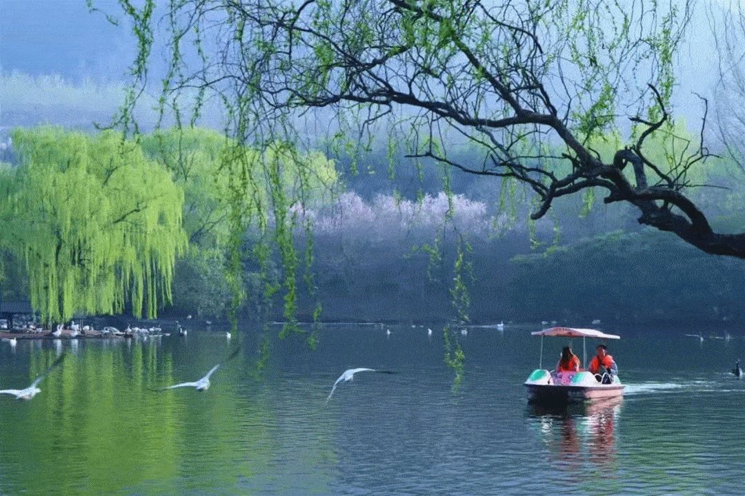 1080_720gif 动态图 动图
