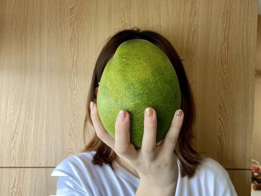 【现摘现发】一口咬下去全是肉,跟脸一样大的芒果你见过么!