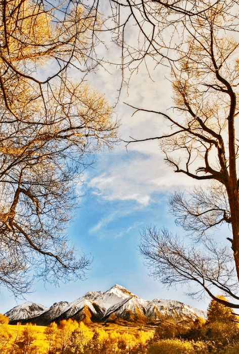 经纬度2021赏秋指南秋天的中国秋之私语时光画卷