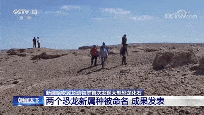 动物群|新疆哈密翼龙动物群首次发现大型恐龙化石！两个恐龙新属种被命名