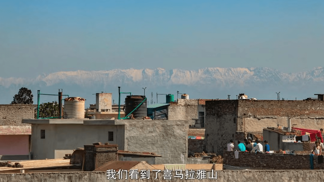 The|把人类关起来,应该是动物们每年的生日愿望吧