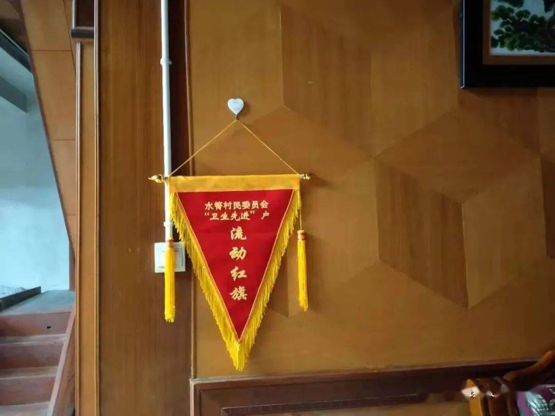 流动红旗挂起来环境卫生靓起来遮岛镇开展卫生检查评比活动