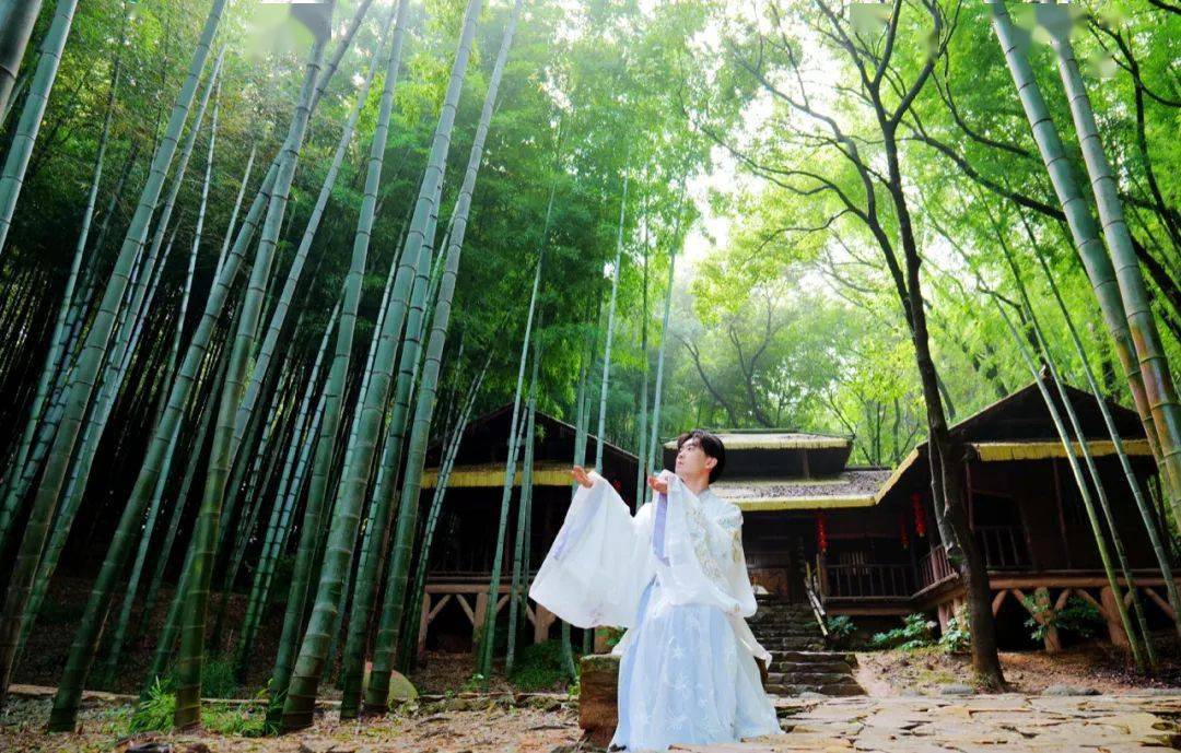 空山新雨后,诸葛竹林候丨无锡影视基地和你有个约会