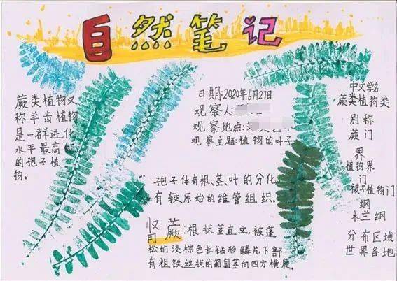 这么高规格的自然笔记大赛你怎能缺席