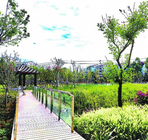 梓潼公园昨日,记者在沱江河绿道郫都区犀浦段重要节点梓潼公园建设