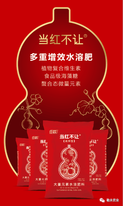 果大硬实不易裂!_勒夫